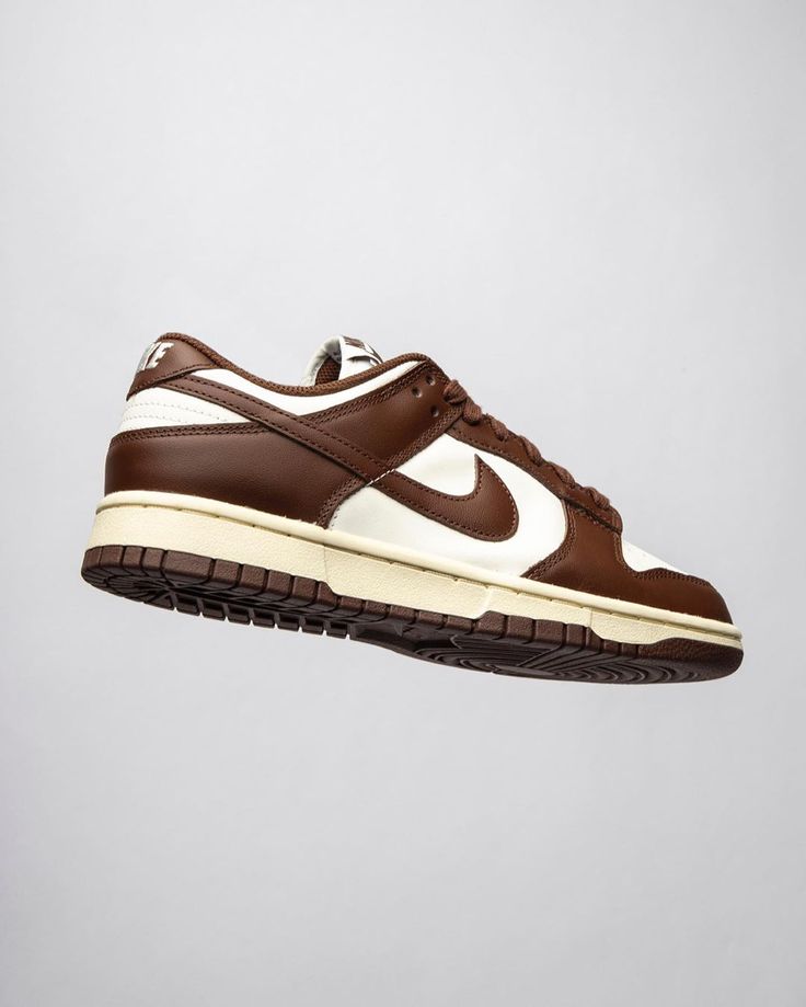 Nike Dunk Low brown and white on the air