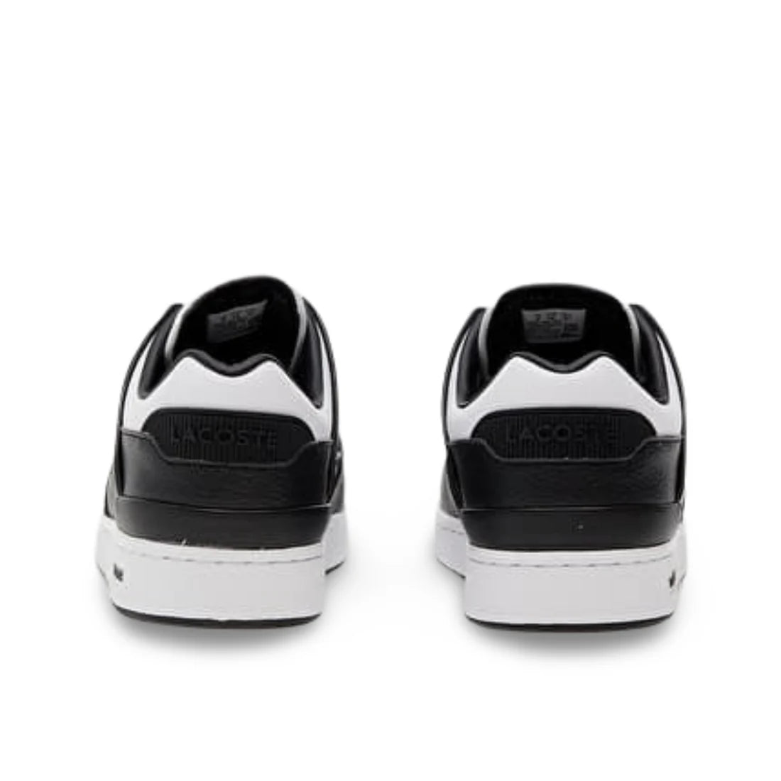LACOSTE COURT CAGE – WHITE / BLACK COURT-INSPIRED SNEAKERS